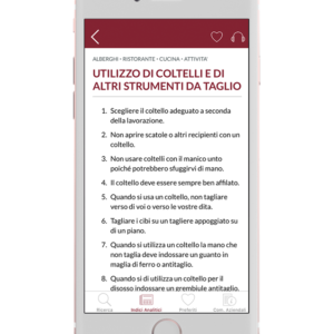 Abbonamento Audiosafety