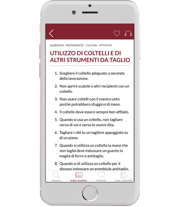 Abbonamento Audiosafety